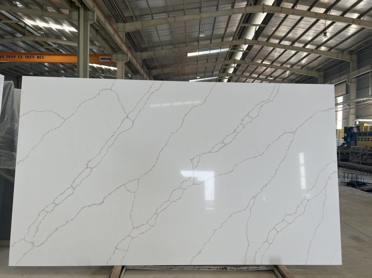 z5001257007851_1764bfcb0a48071f508d3b2997f3607e