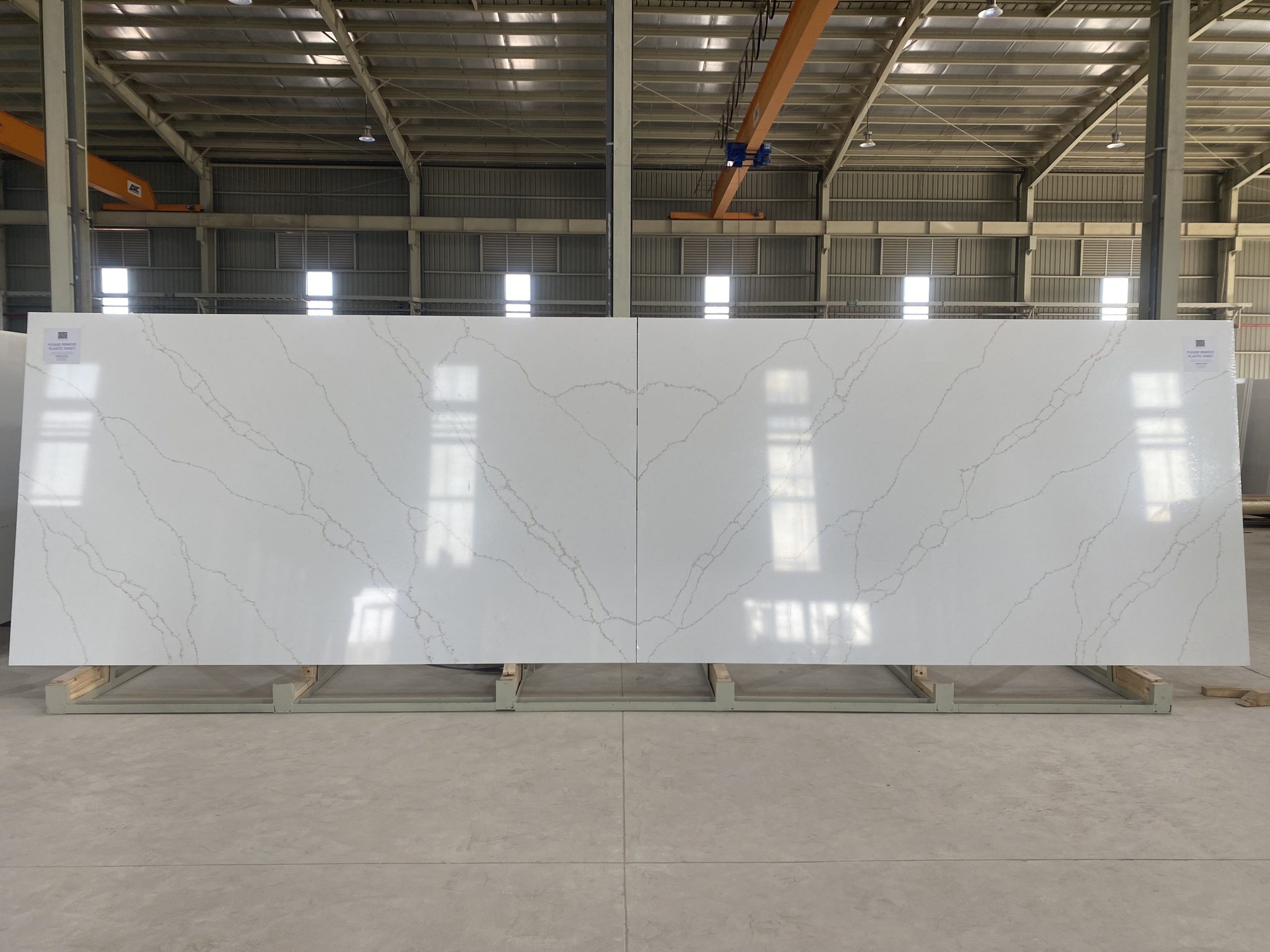 z5007808819737_eea2c5602fff38de11eecf3f78811341