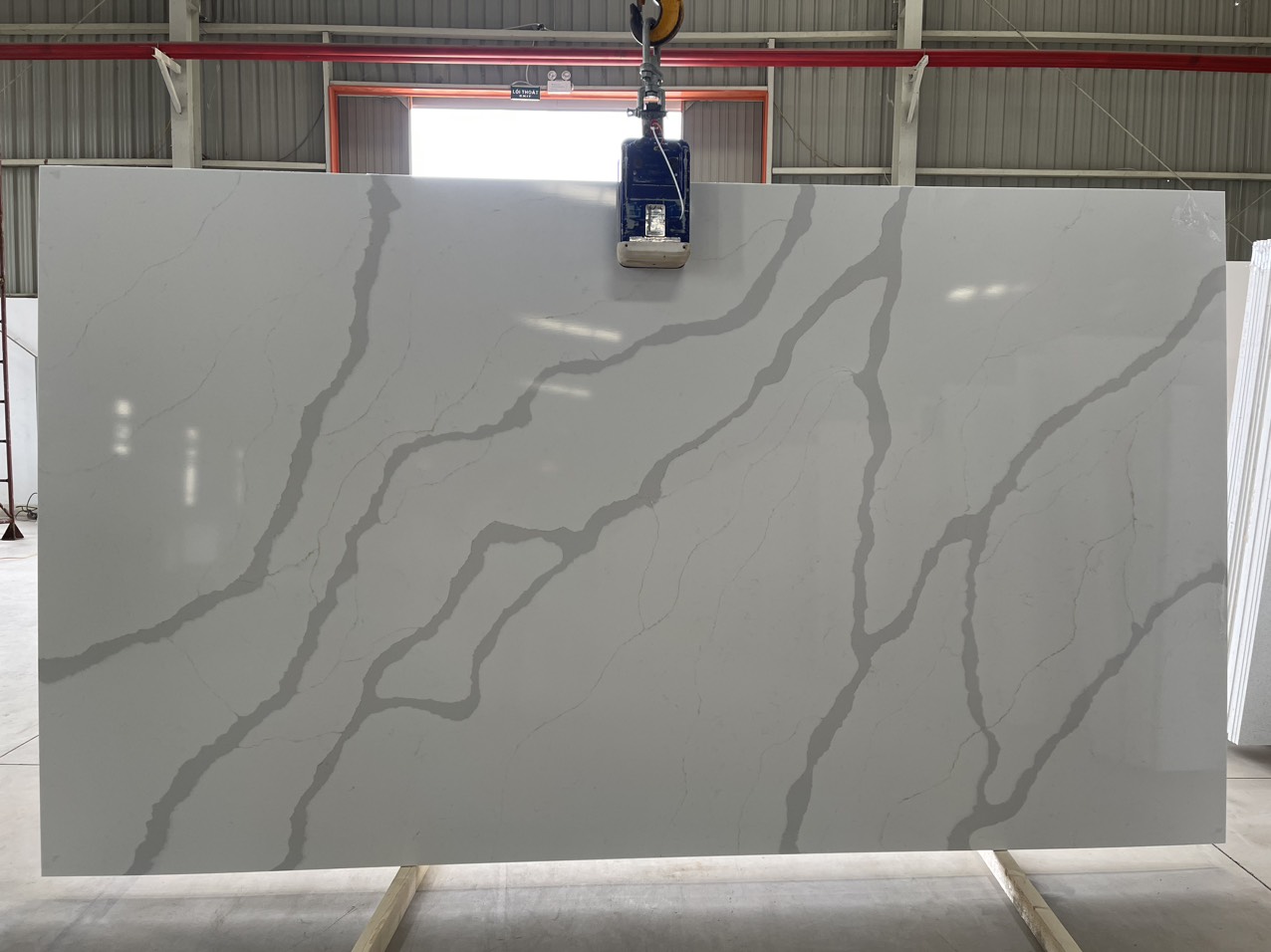 z5123022399956_03950431ad25dc011cff312ea77cb3cc