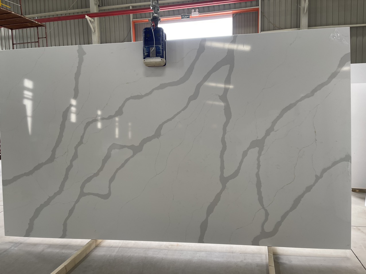 z5123022418518_6e3fdfc46e6eb48e47c28bcfc8c6c4d4